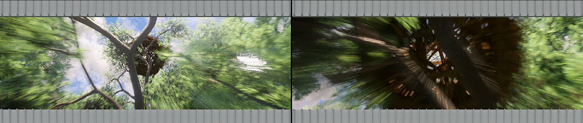 02 Forest Awakening